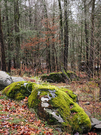Catskills West