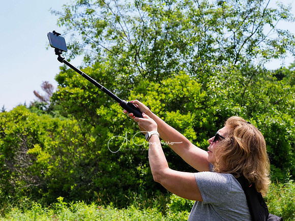 Landcraft Gardens Workshop 2024