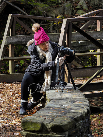 Letchworth Workshop
