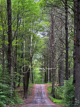 Getaway - Catskills East 2024