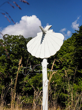 CEED Art on the Trail 2024
