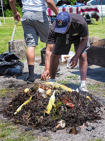 CEED Summer Solstice 2019