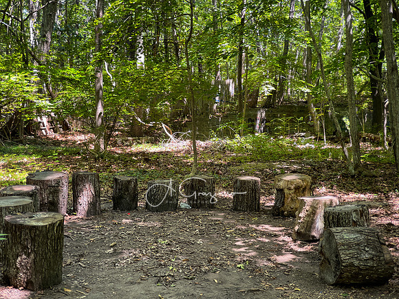 CEED Sculpture in the Garden 2023