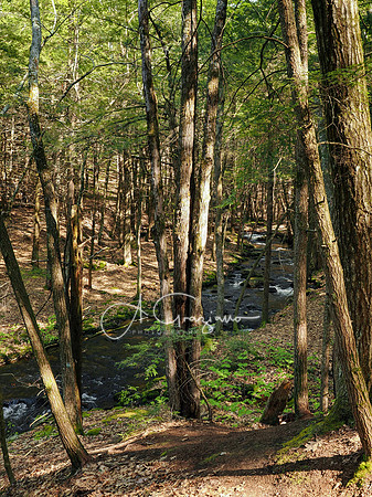 Postcard Cabins - Blake Brook