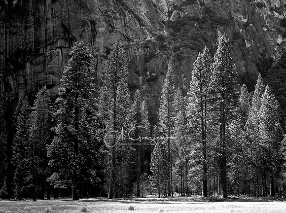 Ode to Ansel - Yosemite