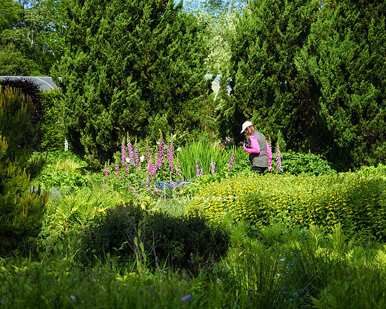 Landcraft Gardens Workshop 2022