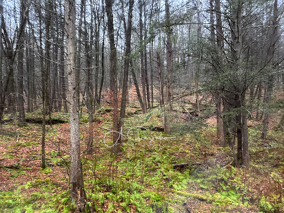 Catskills West