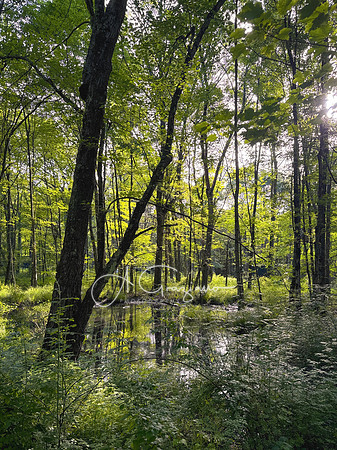 Getaway - Catskills East 2024