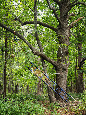 CEED Sculpture in the Garden 2023