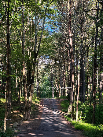 Getaway - Catskills East 2024