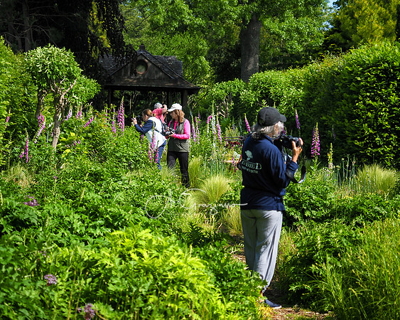 Landcraft Gardens Workshop 2022