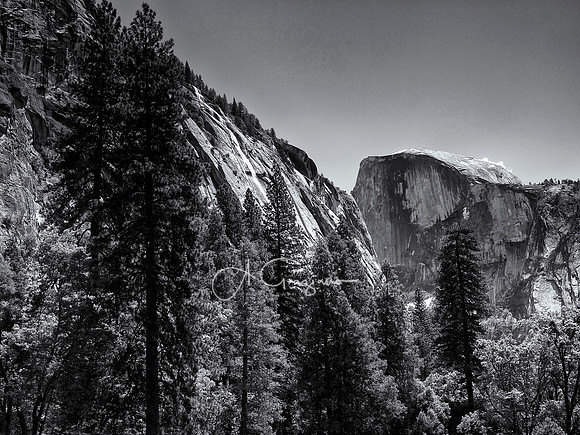 Ode to Ansel - Yosemite