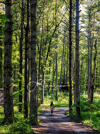 Getaway - Catskills East 2024