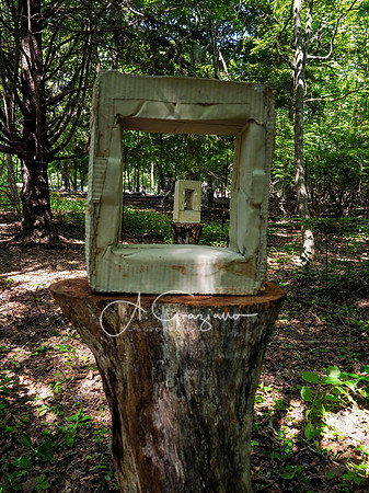 CEED Art on the Trail 2024
