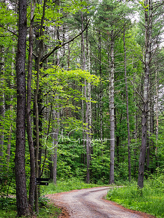 Getaway - Catskills East 2024