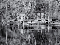 Quiet Beauty - Ridge Conservation Area - Randal Pond
