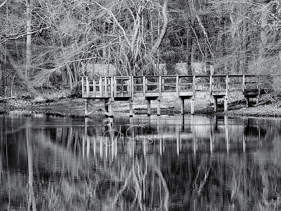 Quiet Beauty - Ridge Conservation Area - Randal Pond