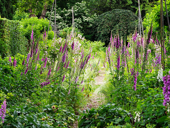 Landcraft Gardens 2024