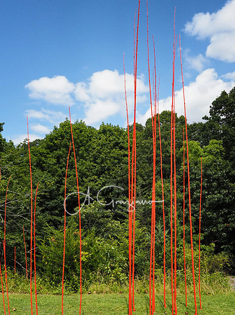 CEED Sculpture in the Garden 2023