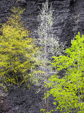 Taughannock Falls State Park