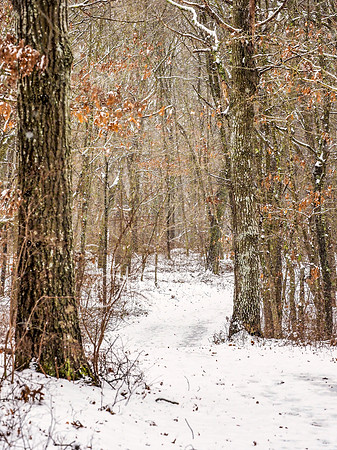 Wertheim NWR