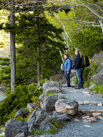 Acadia Workshop 2022