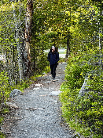 Acadia Workshop 2022