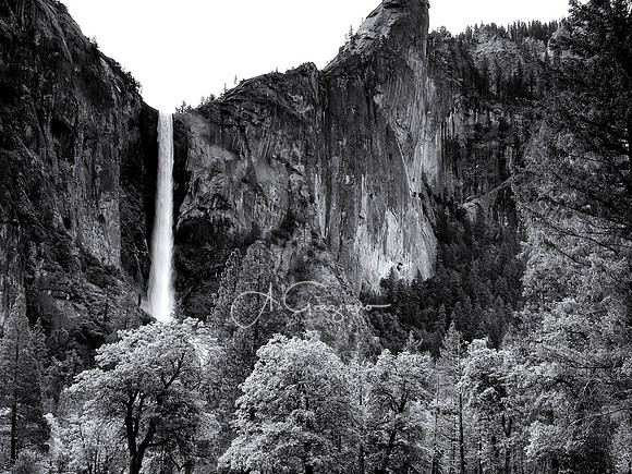 Ode to Ansel - Yosemite