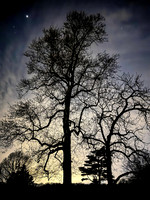 --IMG_5191-Edit-Edit