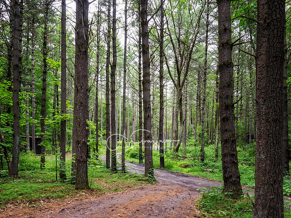 Getaway - Catskills East 2024