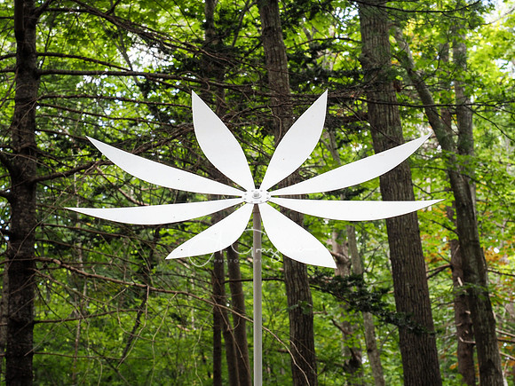 CEED Sculpture in the Garden 2023