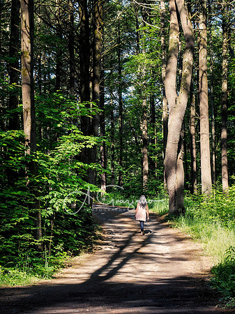 Getaway - Catskills East 2024