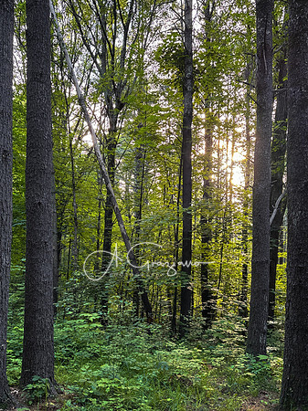 Getaway - Catskills East 2024