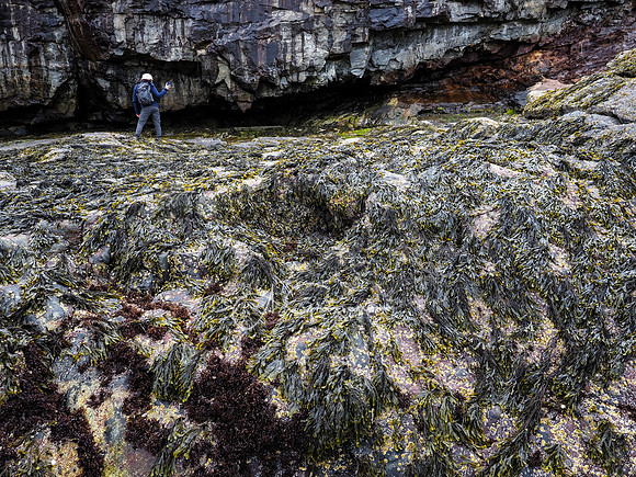 Acadia Workshop 2022