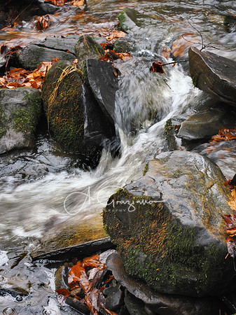 Catskills West