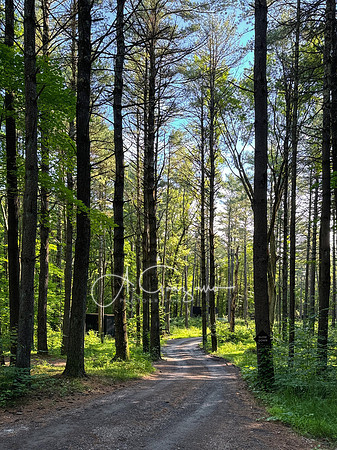 Getaway - Catskills East 2024