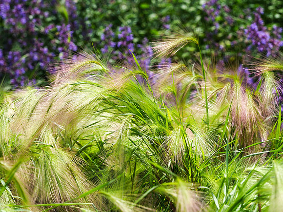 Landcraft Gardens 2024