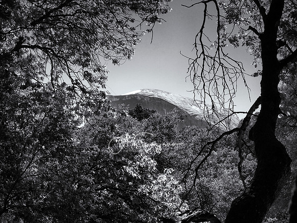 Ode to Ansel - Yosemite