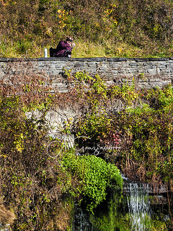Letchworth Workshop