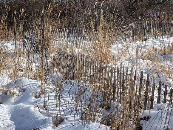 The Beach in Winter