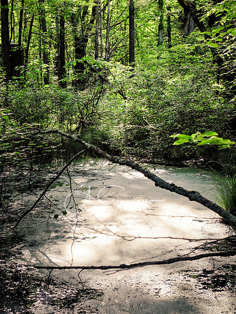 Getaway - Catskills East 2024