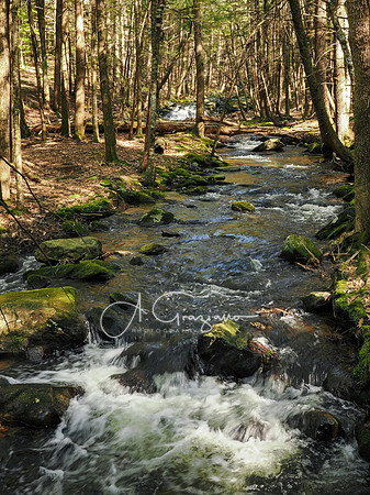 Postcard Cabins - Blake Brook