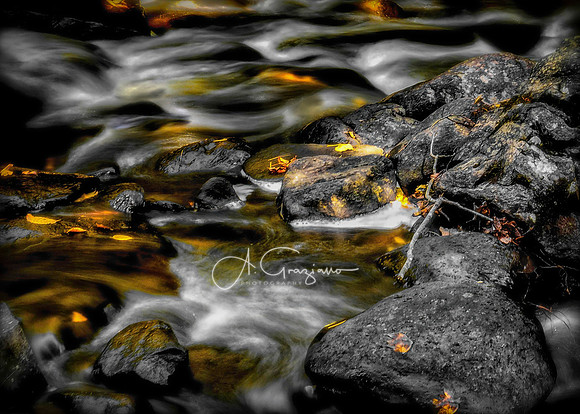Farmington River from Tolland State Forest - Day Streaming