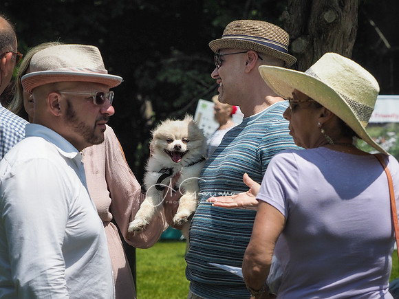 CEED Summer Solstice 2019