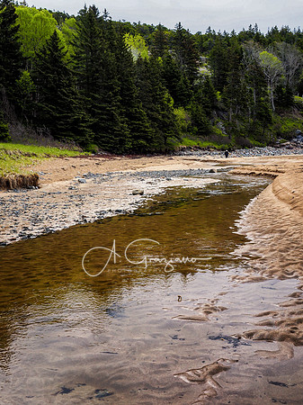 Acadia Workshop 2022
