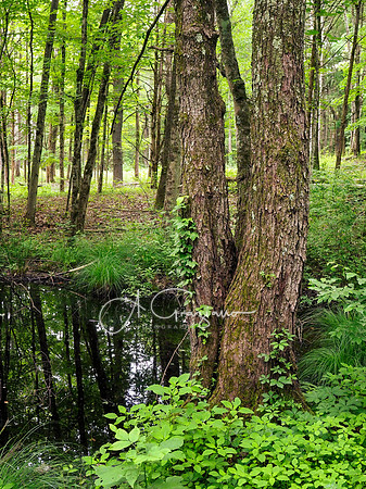 Getaway - Catskills East 2024