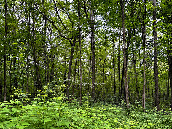 Getaway - Catskills East 2024