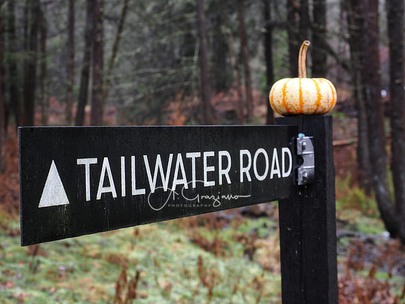 Catskills West