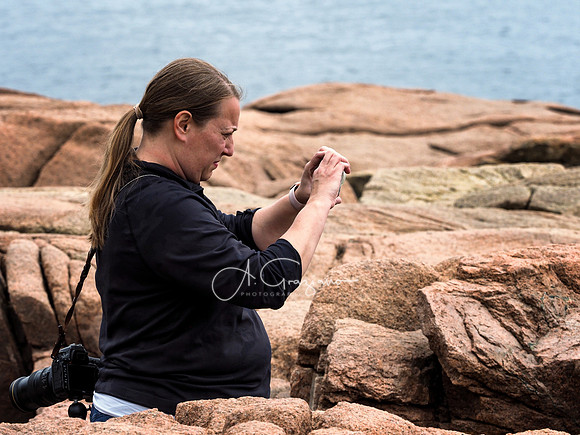 Acadia Workshop 2022