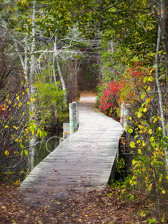 Passage - Quogue Wildlife Refuge
